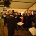 Carols in the Quad 2023