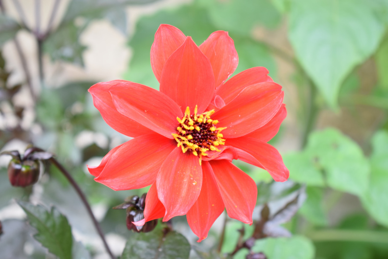DSC_0029.JPG