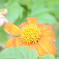 DSC 0031