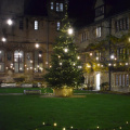 Carols 3