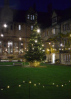 Carols 3