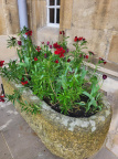 Flower pot Front Quad April 2024