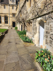 Tulips and archways April 2024