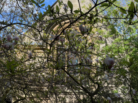 Spring 3