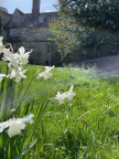 Spring 8