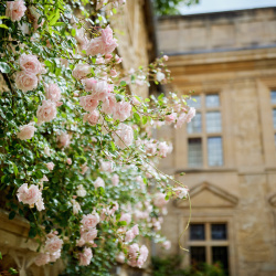 St Edmund Hall Stock Photography