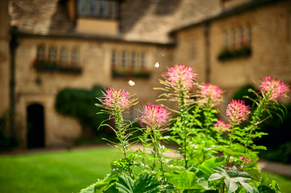St Edmund Hall stock photography