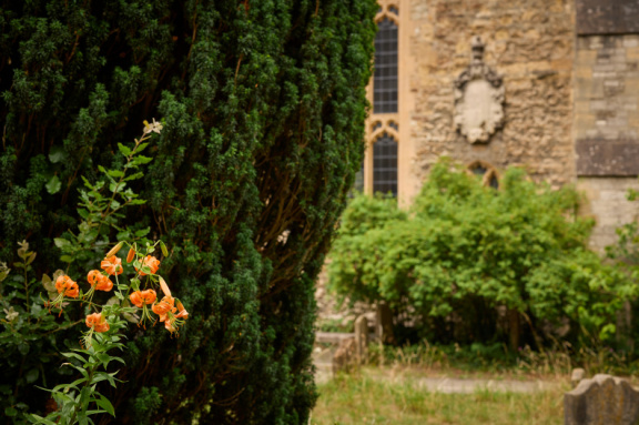 St Edmund Hall Summer Planting