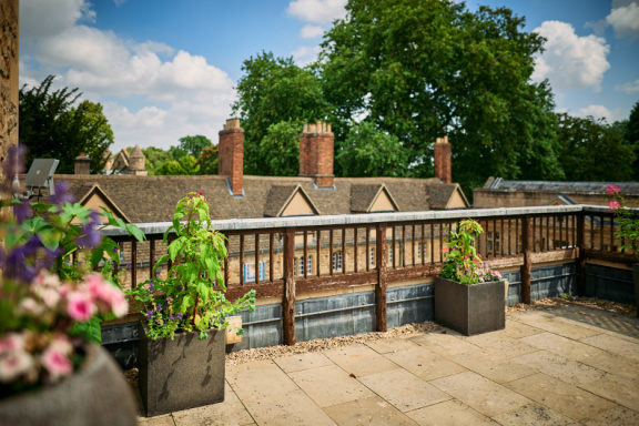St Edmund Hall Summer Planting
