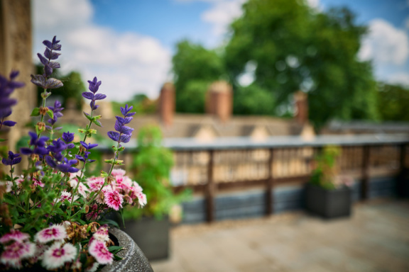 St Edmund Hall Summer Planting