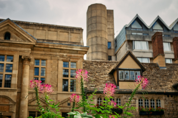 St Edmund Hall Summer Planting
