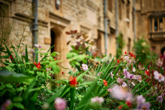 St Edmund Hall Summer Planting