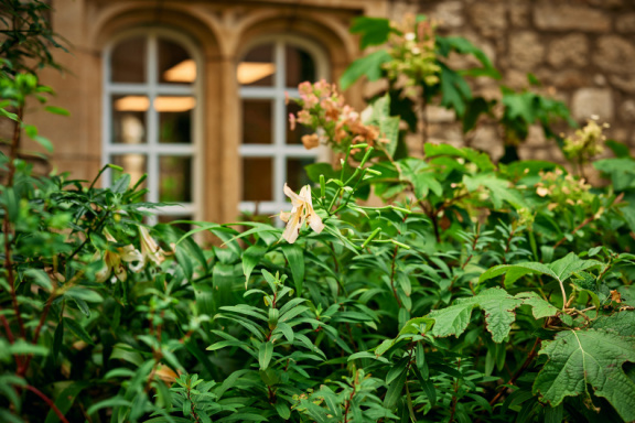 St Edmund Hall Summer Planting