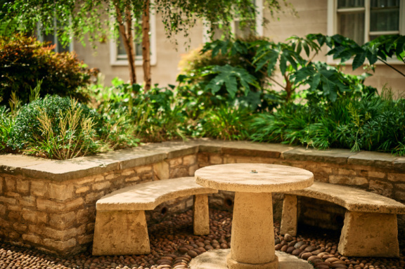 St Edmund Hall Summer Planting