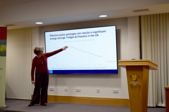 Seminar 6 Suman Conversations