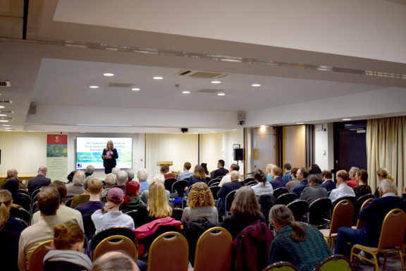 Seminar 6 Suman Conversations