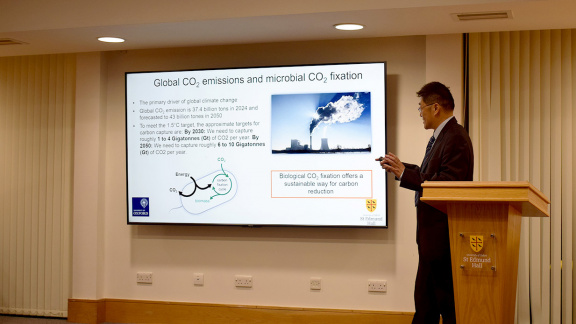 Seminar 6 Suman Conversations